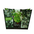 Qingdao Factory Gots Oeko-Tex 100 Promotional PP Coated Custom Printed Recycled Eco TNT Grocery Handle PP Woven Bag